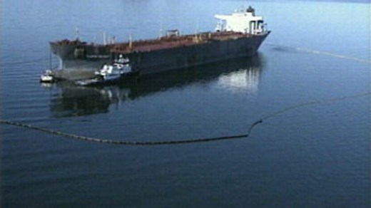 How oil spills damage wildlife and the environment