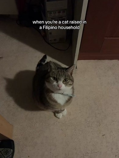 Frisky's Filipino Food Adventures: Adobo and More!