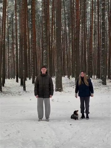 How to win your dog over