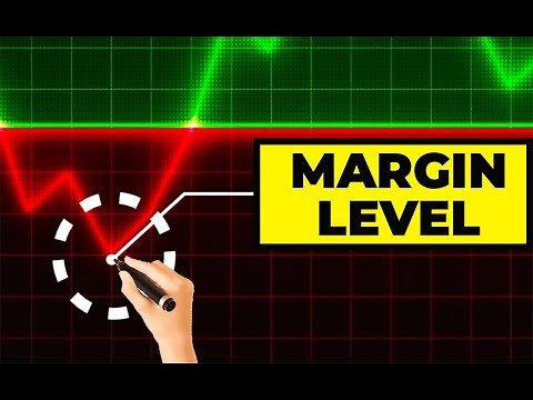 FREE MARGIN & MARGIN LEVEL Explained for Forex