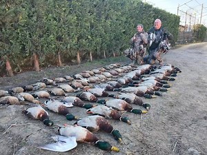 55 reactions | Book now the Hunting Package for the Delta Danubio-Romania, 2020-2021 season Association Fishing&Hunting Hunter KRIS-ROMANIA +40744348950 (whatsapp) | Association Hunting&Fishing Hunter Kris | Facebook