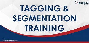 Tagging & Segmentation Training