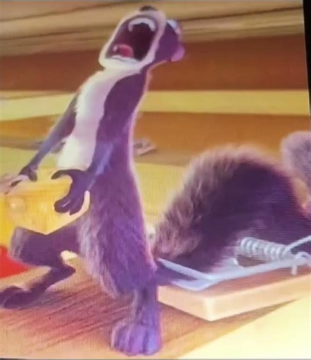 surly the squirrel screaming