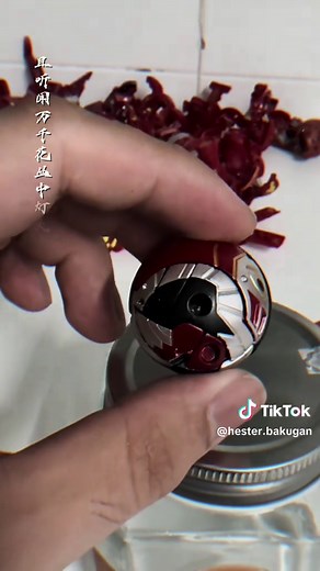 Hester Bakugan VN trên TikTok