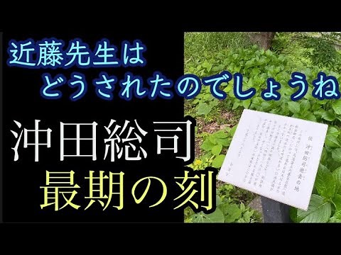 The final moments of Okita Souji, captain of the Shinsengumi's first unit