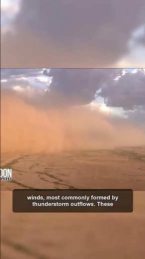What is a haboob? #facts #interestingfacts