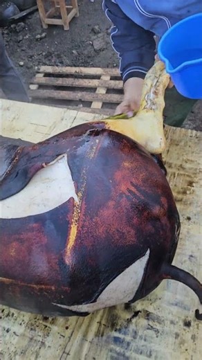 What happened here, I don't understand.