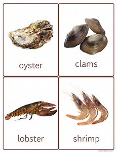 Ocean Animals Flashcards: Montessori Homeschool Printable (PDF) - Etsy Australia