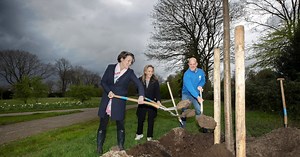 Cadeau van ASML en Trees for All: eerste van 4000 nieuwe bomen geplant in Veldhoven