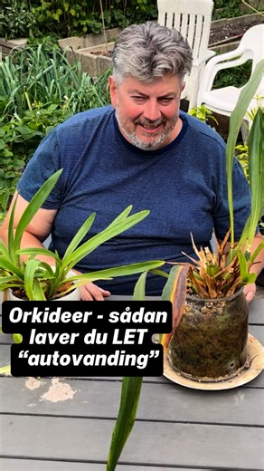 ORKIDEER - sådan laver du LET “autovanding” - de fleste orkideer ELSKER det #semihydro #orkideer | Jydehaven.dk