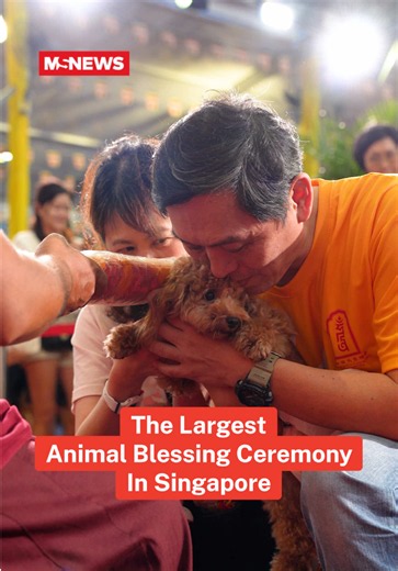 Thekchen Choling’s annual Animal Blessing Ceremony is a joyous event where pet owners can bring their pets to be blessed by Venerable Sanghas, because blessings aren’t just meant for humans 🐾❤️ Join the rest of the festivities from now till 31 May at the open field beside NEX Mall. Free admission. #mustsharenews #vesak #animalblessing