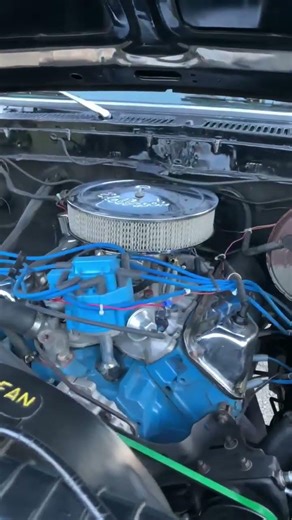 1979 Ford F150 Engine