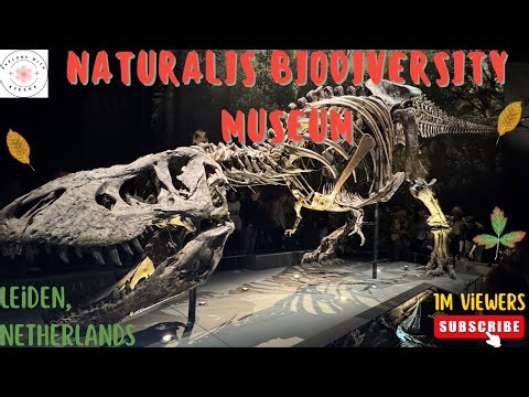 Naturalis Biodiversity Center Leiden 🇳🇱 | Full Museum Tour, Dinosaurs & Hidden Gems!