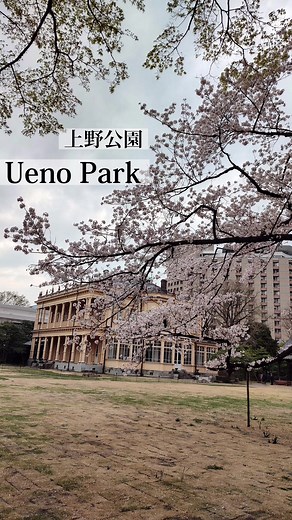 東京のおすすめスポットです！良かったら参考にして下さい。#東京観光 #東京観光スポット #東京観光地 #修学旅行 #japantravel