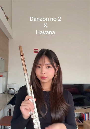 Hopping on my favorite music trend rn 🎶 (sheet music from @violinwithedgar) #flute #musician #cover