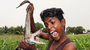 560K views · 111 shares | Snake Fish Tawa Fry | Village Food Factory | Facebook