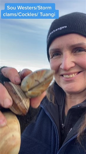 Exploring Coastal Sea Creatures: Clams and Cockles
