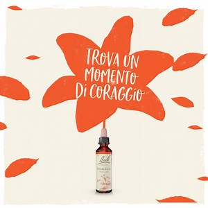 16K views · 109 reactions | Hai già provato Rescue® ma pensi di aver bisogno di un Fiore più specifico? Mimulus è il Fiore di Bach® Originale che può darti il coraggio di affrontare i problemi e le difficoltà con la giusta prospettiva. Richiedilo al tuo farmacista o erborista di fiducia e non lasciare che i pensieri negativi o le paure quotidiane indeboliscano la tua determinazione!  | Rescue Fiori di Bach Originali | Facebook