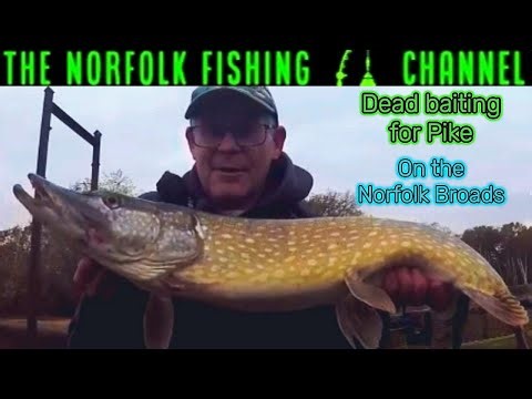 Dead bait Fishing For Pike at Hickling Broad - Fishing on the Norfolk Broads