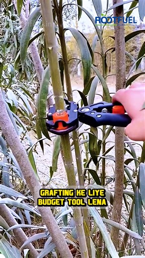 685K views · 1.5K reactions | Cheap Tools Cost More” (Logic + Trust)...