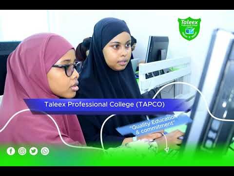 Welcome to Taleex Professional College