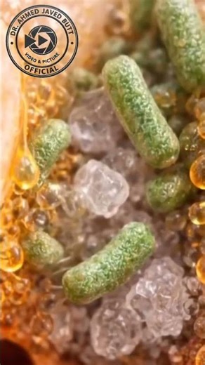 How Flossing Prevents Cavities & Gum Disease | Medical 3D Animation