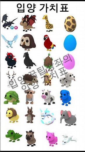 입양 최신 가치표!! 참고만1~24등까지 #입양 #입양하세요