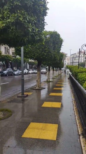 ١٧ مارس ٢٠٢٦