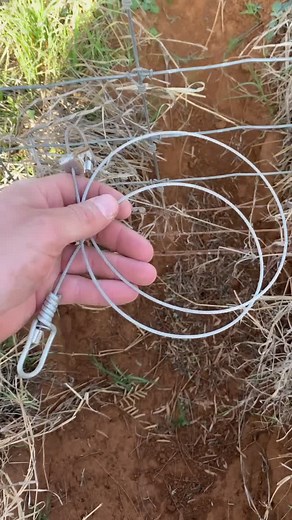 how to set a snare 💥 #ItWasntMe #trap #hunting #fy