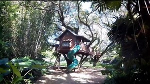 Miami Treehouse builds custom, unique tree houses throughout South Florida - WSVN 7News | Miami News, Weather, Sports | Fort Lauderdale