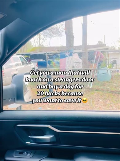 Find Your Ideal Rescue Pet Companion