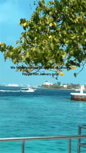 Brave Soul❤️‍🩹 (@brave.soul02)’s videos with Funny - Gold-Tiger