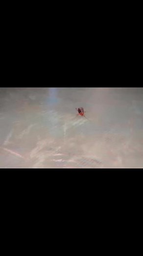 Cockroach walking in my glue 😆 | Edward J Muldoon