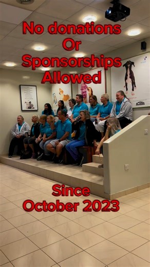 9.8K views · 104 reactions | This is our heaven…saving dogs that need a homeSupport us keep it that way ❤️❤️❤️..#reel #dubai #trending #luxury #ambani #friday #dogs #comedy | K9 Friends, Dubai | Facebook