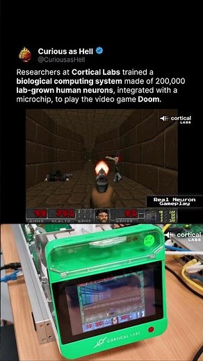 Human Neurons Playing DOOM 🧠