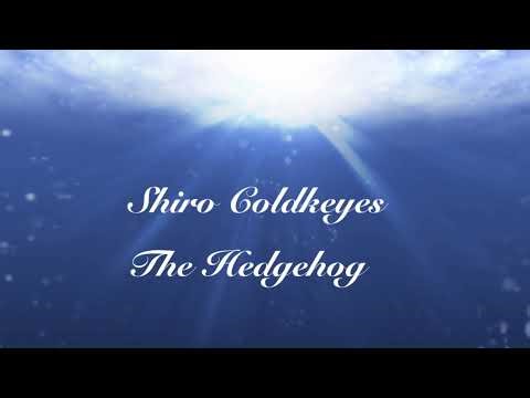 Shiro and Shadow plus Akena VRChat Hangout and New Year Plans