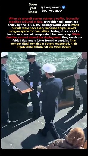 The Final Salute: Inside the Navy’s Most Somber Open Ocean Ritual
