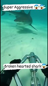 478K views · 1.3K reactions | Need backups  #fishingworldtv | Fishing World Tv | Facebook