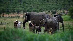 22K views · 1.1K reactions | Today - 23 March - we celebrate EARTH...