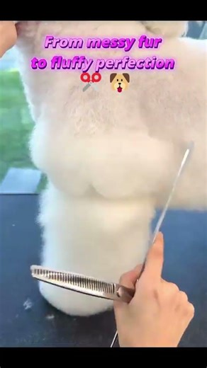 ✂️ Thinning Shears for Dog Grooming : Pup Trim Perfection 🐾