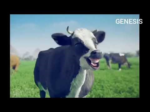 JERUSALEMA CHALLENGE @THE ANIMAL FARM Jerusalema Master KG Ft Nomcebo