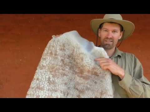 How to make a Sheep Skin! - Ep. #11