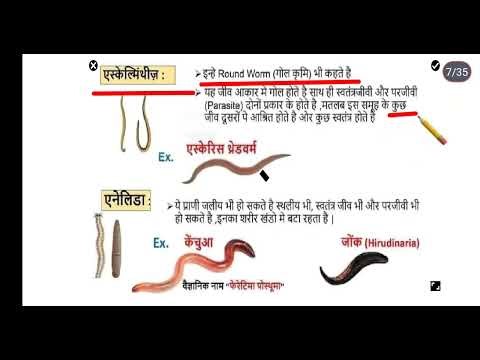 Complete Biology in One Shot | Railway NTPC, RRB Group D, RPF, SSC CGL, CHSL, CPO | #science