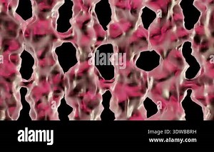 Abstract Pink and Black Pattern