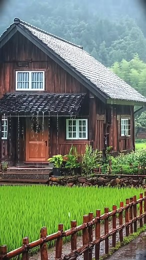 4.7K views · 60 reactions | My Dream House - What A Beautiful Rain It is Here. - #nature #rain #thunder #shorts | Daily Bible Verse | Facebook