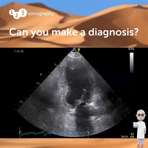 13K views · 78 reactions | Test your skills: Can you make the...