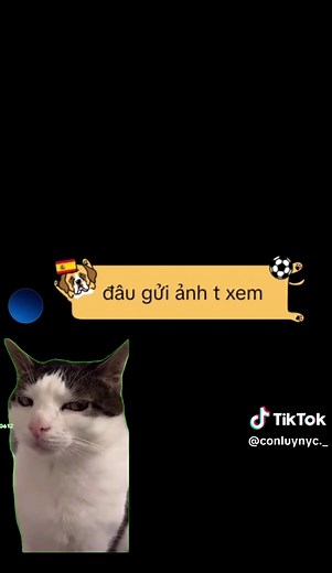Avatar đôi cho anh em tóc trắng: ý tưởng và cách dùng