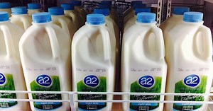 A1和A2牛奶有什么区别 - 新闻 2026