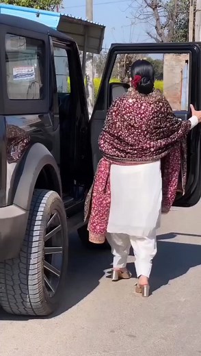 Punjabi culture ❤️‍🩹💯❤️‍🩹 #punjabi #culture #vibe #trending #video #culture vibe | punjabi culture