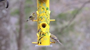 Kingsyard Metal Bird Feeders for Outdoors Hanging, 6-Ports Tube Bird Feeder, 14 inch, Durable & Weatherproof, Large Capacity for Attracting Wild Birds (Red)